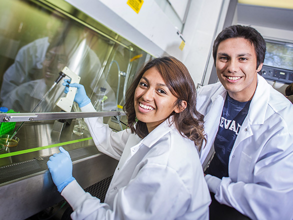 Two researchers working in a lab.