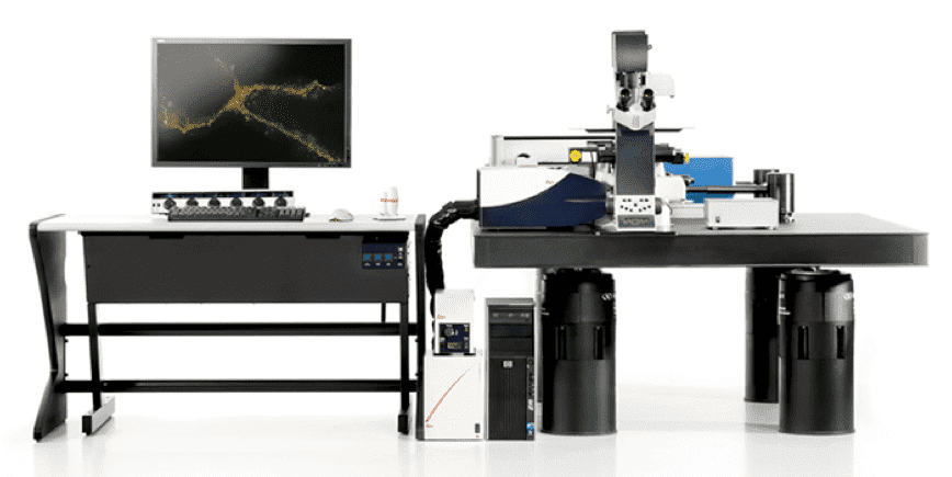 Leica TCS SP8 LIGHTNING confocal microscope