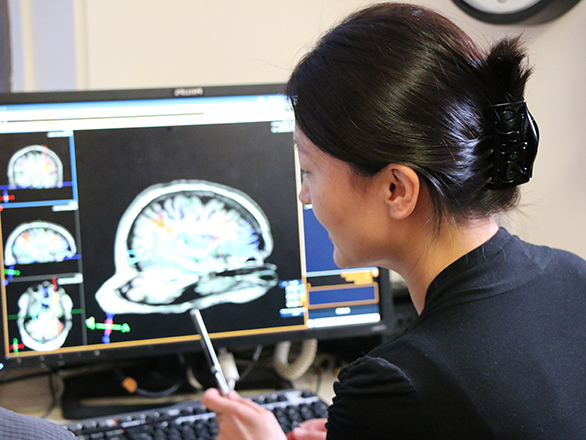 A researcher looks at an image of a brain scan on a computer