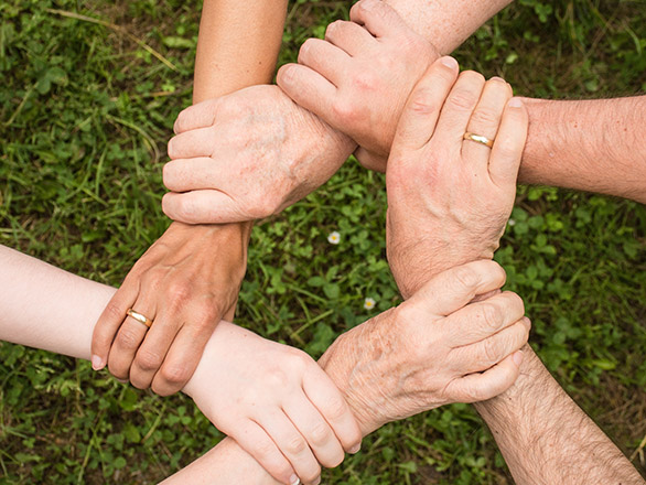 Six hands hold each other's wrists to form a circle.  