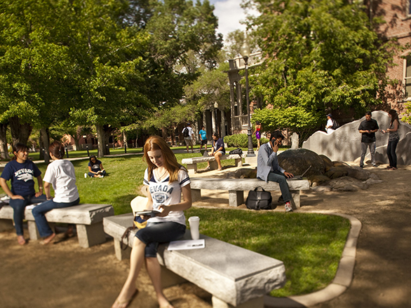 Several students outside in the south quad. Some are studying on benches, walking across the quad or talking to each other. 