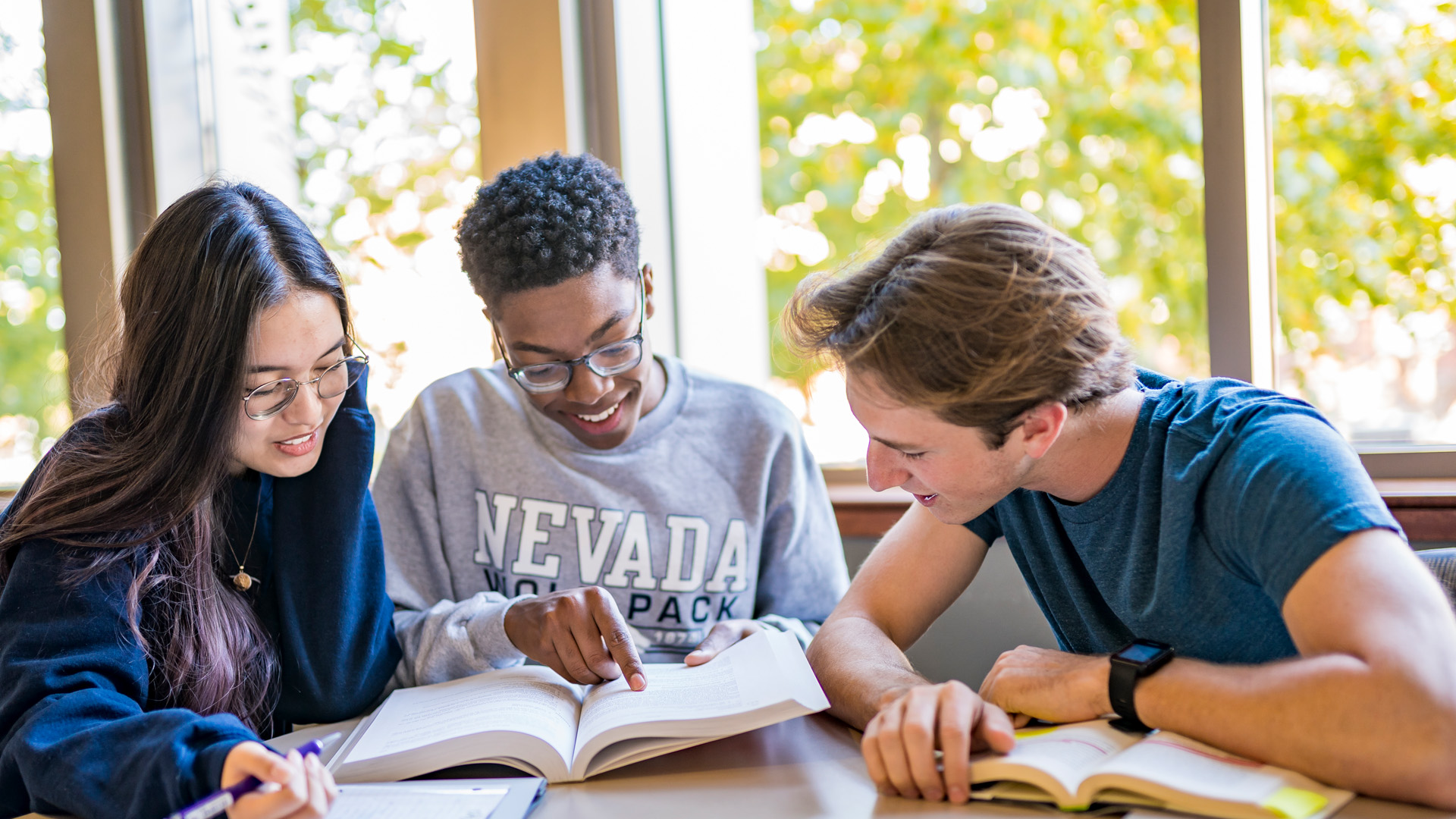 Students studying together