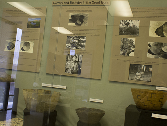 Glass display case with anthropology artifacts