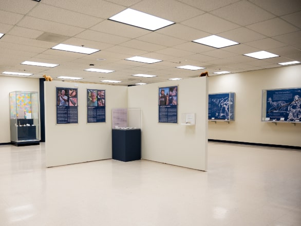 view of museum room with exhibits