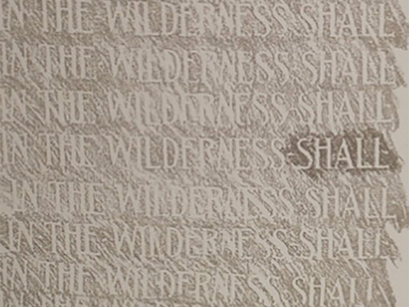 close up of text on the cover of the SHALL book