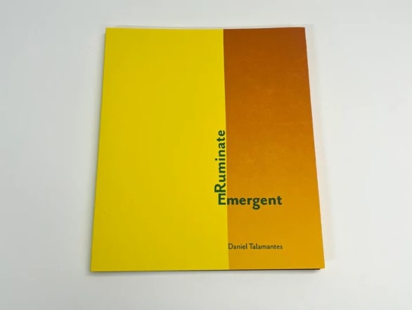 yellow and orange book cover with "Ruminate Emergent" text on front