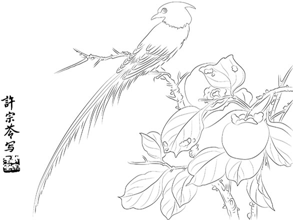 Paradise Flycatcher bird on flower branch outline