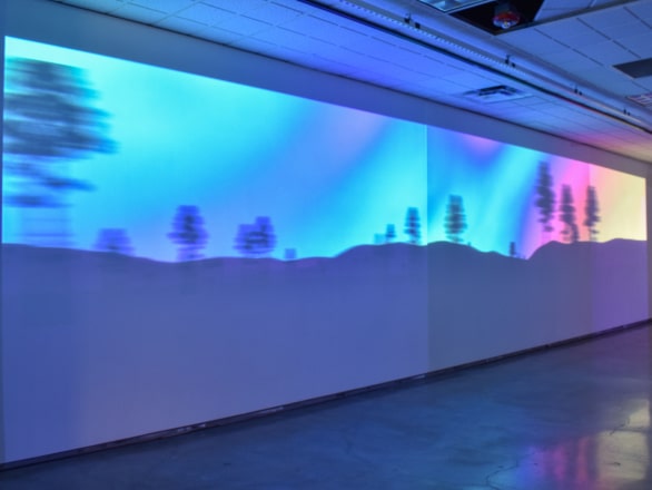 project display on white wall of forest with blue, pink and purple colors