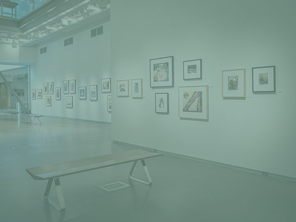 Nolan Preece exhibition with bench in the middle of the museum with artwork on the wall