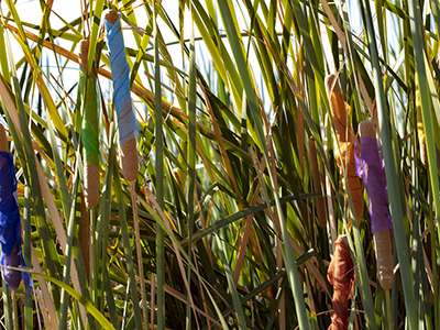 Cattail plants wrapped with colorful fabric.