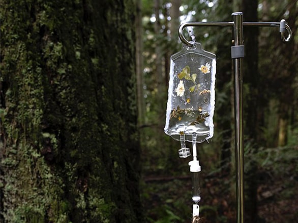 infusion bag outside in forest 