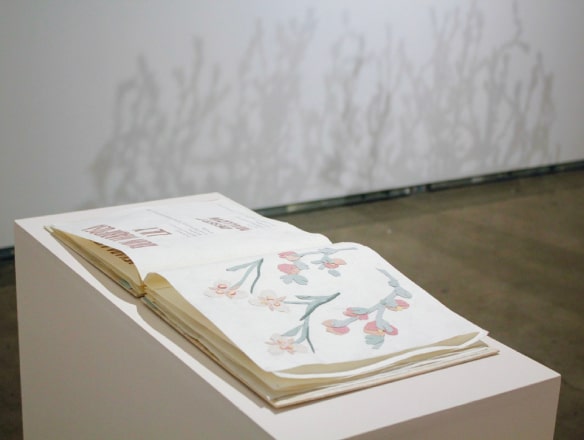 open book on display with flowers drawn inside