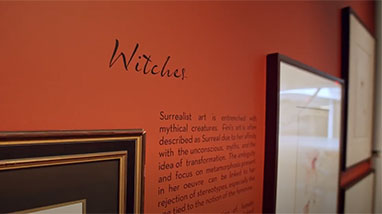 Leonor Fini exhibition wall about witches