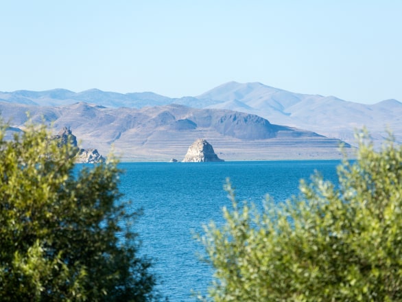 view of pyramid lake between trees