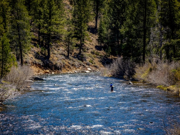 view of truckee river with person fishing