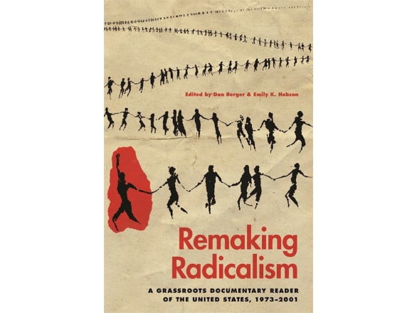 remaking radicalism book jacket