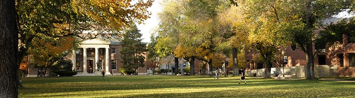 The University Quad on a sunny day, with students walking along the edges and Mackay Mines in the background
