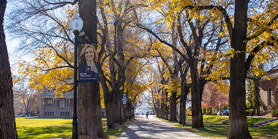 Banner on light pole on empty quad during fall day