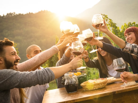 people drinking at a vineyard
