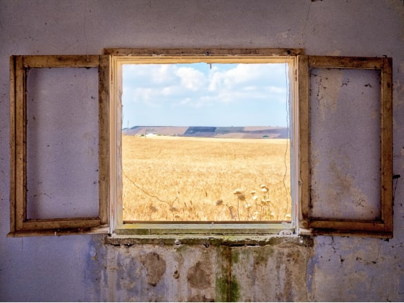 painting of window looking out over yellow straw field