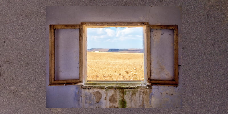 painting of window looking out at yellow field