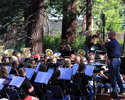 students playing concert in forest
