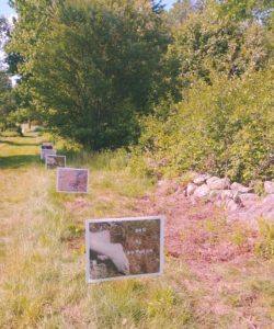 A series of six lawn signs featuring photographs meanders along the side of a grassy path. The sign closest to us shows a pair of pale feet uncomfortably curled together on the grass next to Bananagrams that read Can We Imagine.