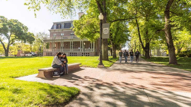 students studying on bench in quad
