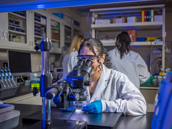 Researchers work in a lab with the closest using a microscope