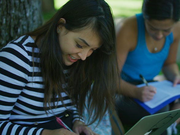 Students studying on the quad