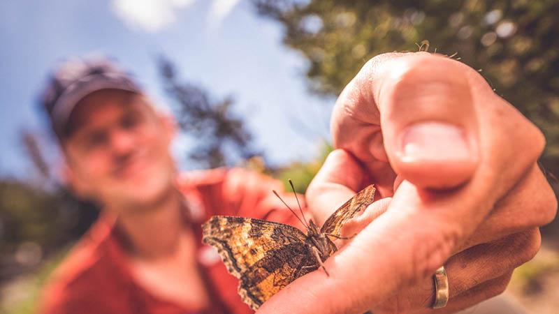 Matt Forister with butterfly