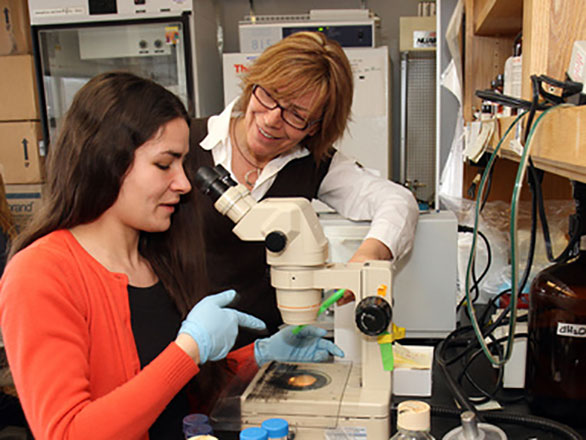 Patricia Berninsone works with female student in a lab.