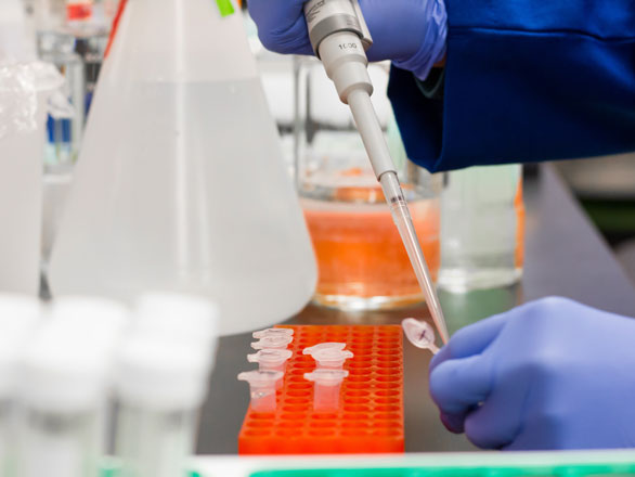 Close up shot of gloved hands working in a chemistry lab.