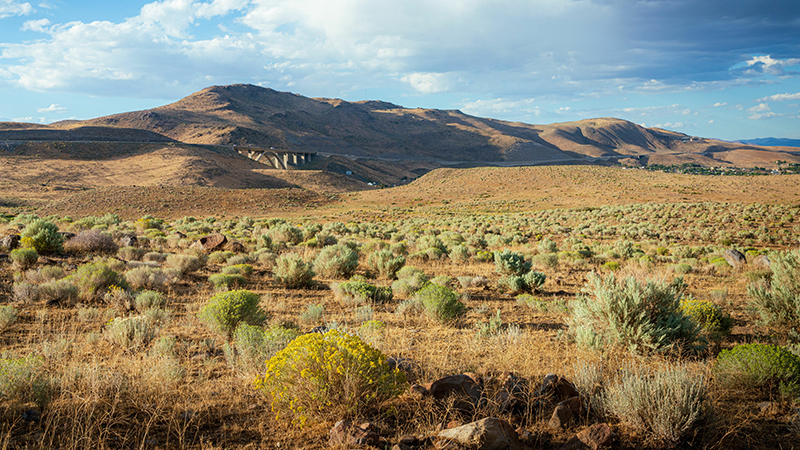 Sagebrush landscape in Carson City, NV