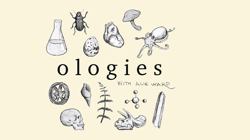 Ologies with Alie Ward podcast artwork