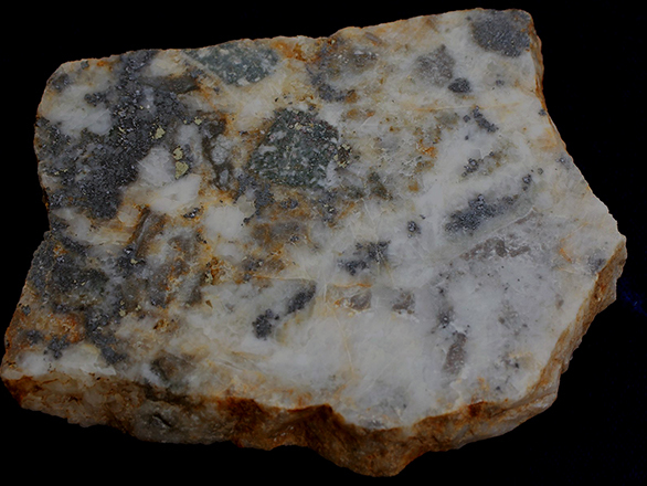 High grade Comstock ore, a rock that is yellow and white with black speckled dots running throughout.