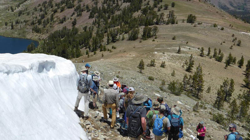 Group of students in the field doing mapping exercise