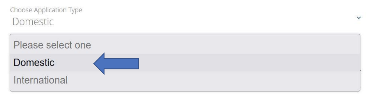 Screenshot of the online application portal for users to select their application type. An arrow is next to "Domestic" with "International" as another option.