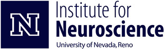 Institute for Neuroscience identifier