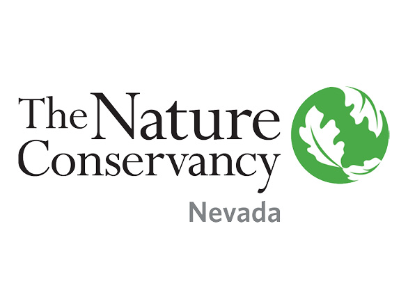 Nevada Water logo