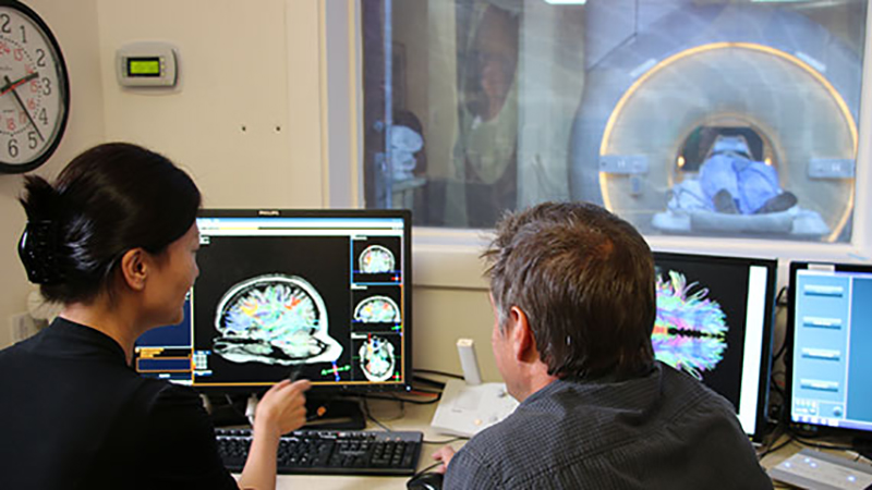 Two researchers examine brain scans on a computer screen.