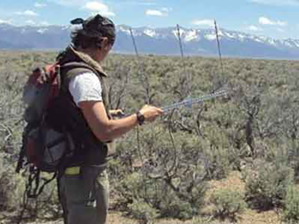 A researcher wearing a backpack using equipment outdoors in the Great Basin.