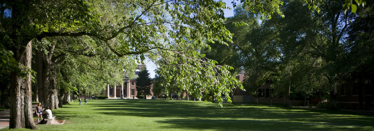 Historic Quadrangle