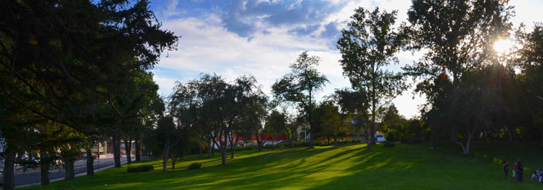 Manzanita Bowl