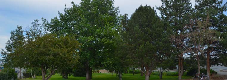 Valley Road Research Garden