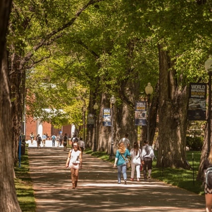 Students walking on the quad