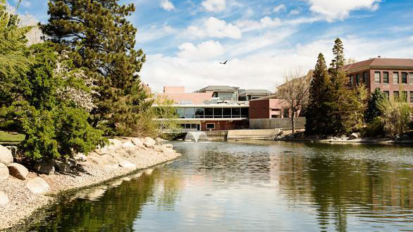 Morrill Hall surrounded by green grass and tall trees with green foliage.