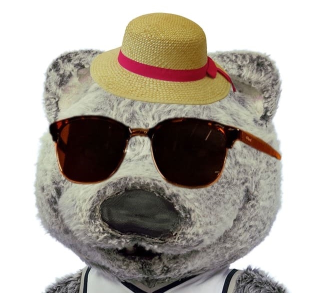 A headshot of Wolfie wearing a hat and sunglasses that is demonstrating an "incorrect" photo.