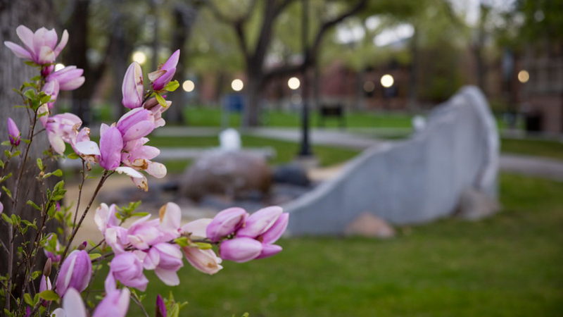 Honor Court fountain surrounded by green grass with pink flowers in the foreground.