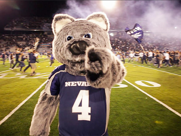 Wolfie on football field